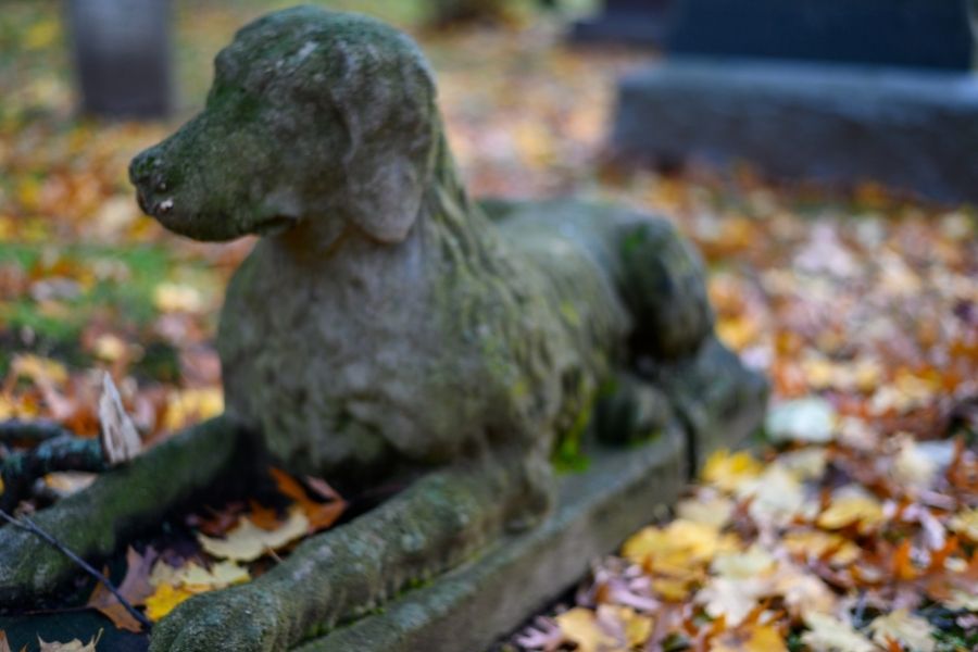 cimitero degli animali napoli